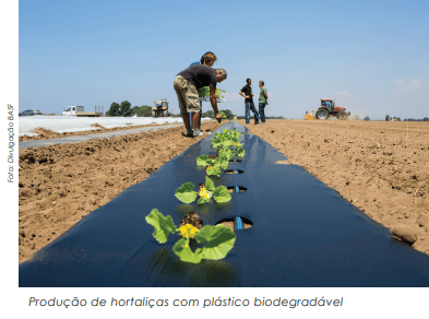 Sustentabilidade e o uso dos Bioplásticos